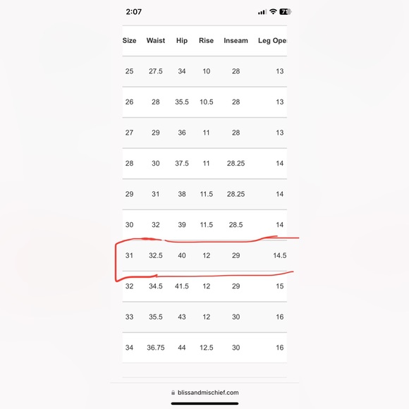 EUC BLISS AND MISCHIEF Chamomile Embroidered Denim Jeans (#1351) - Picture 9 of 9